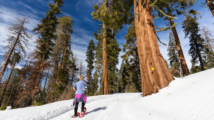 <span class="article__caption">Snowshoeing on Panoramic Point Trail road in King’s Canyon</span> (Photo: Brent Durand/Getty)