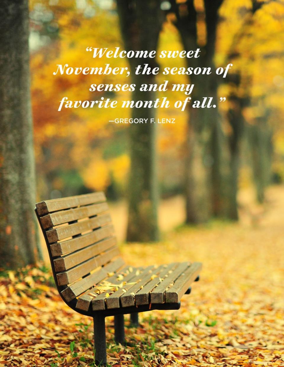 <p>“Welcome sweet November, the season of senses and my favorite month of all.”</p>