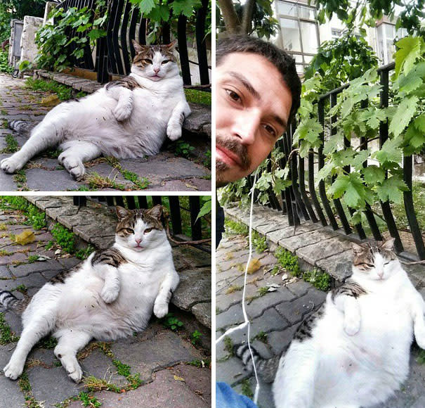 Inspirado en la foto que se hizo viral, Yakup mandó a esculpir una figura a tamaño real de su gato, la cual fue colocada en la misma calle donde se tomó la imagen.