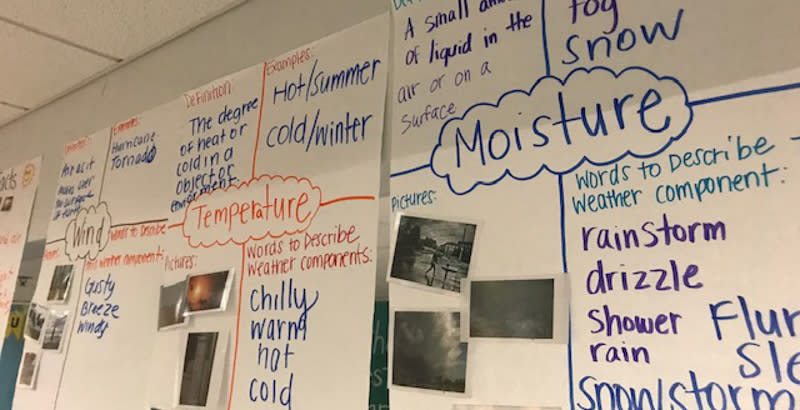 Kindergarten anchor charts from the EL Education K-8 Language Arts unit on “Weather Wonders.” (UP Academy Holland)