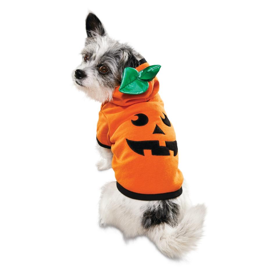 Jack O. Lantern Dog Hoodie