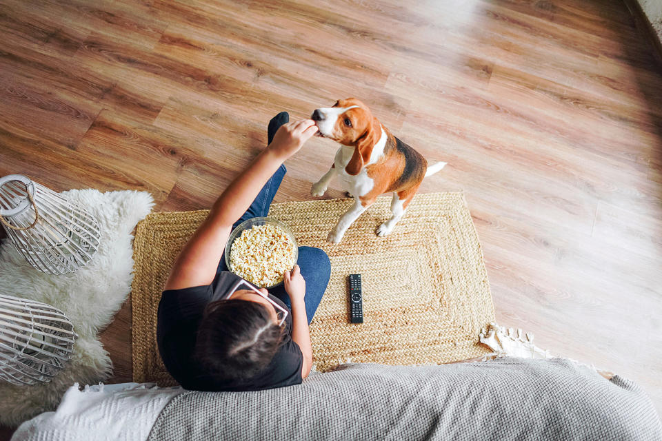 A woman feeding a dog popcorn.