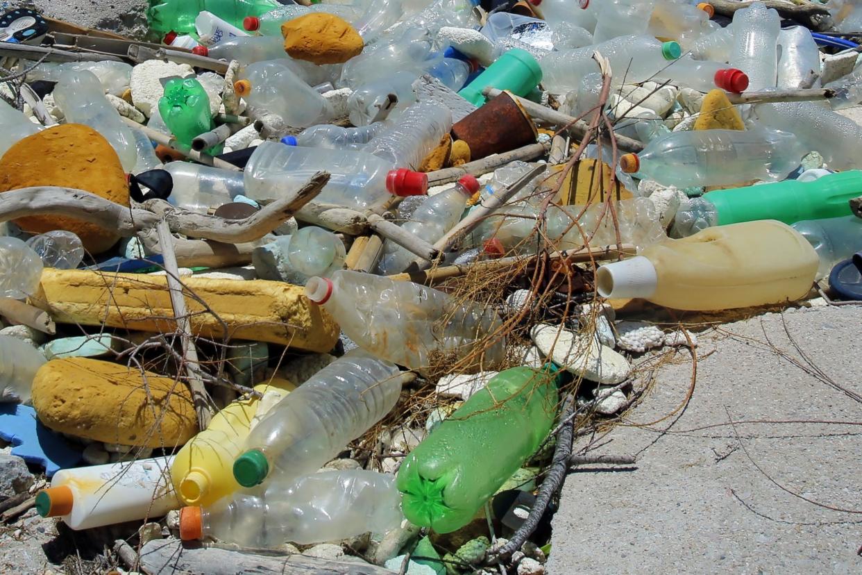 Harmful: plastic in the gut could suppress the immune system: Getty Images