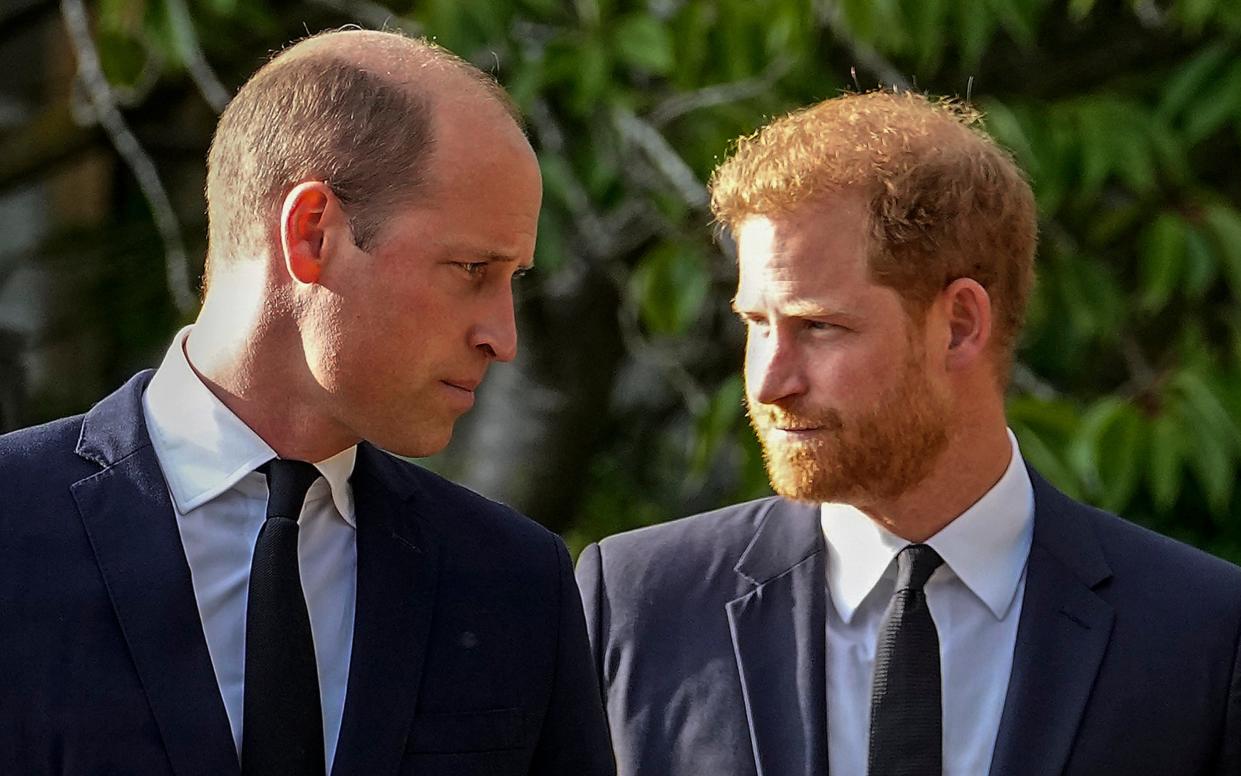 Prince William and Prince Harry have not seen each other during the Duke of Sussex's recent visits to the UK