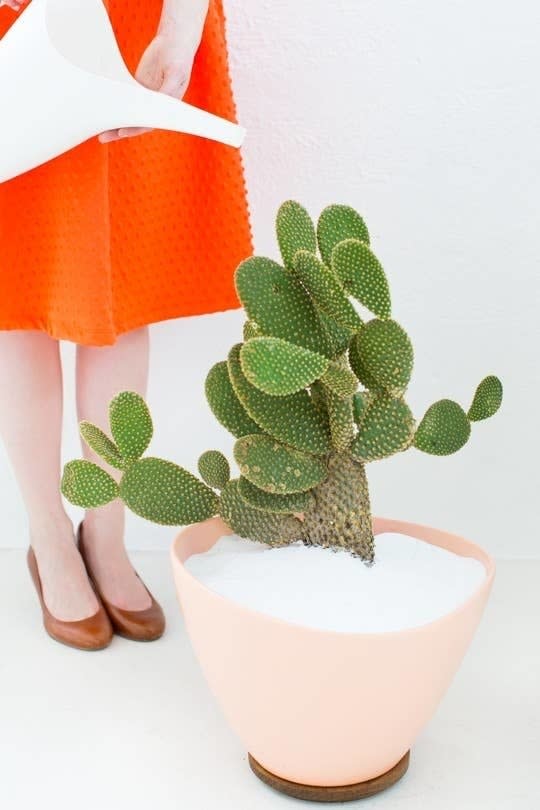 wooden base on a planter