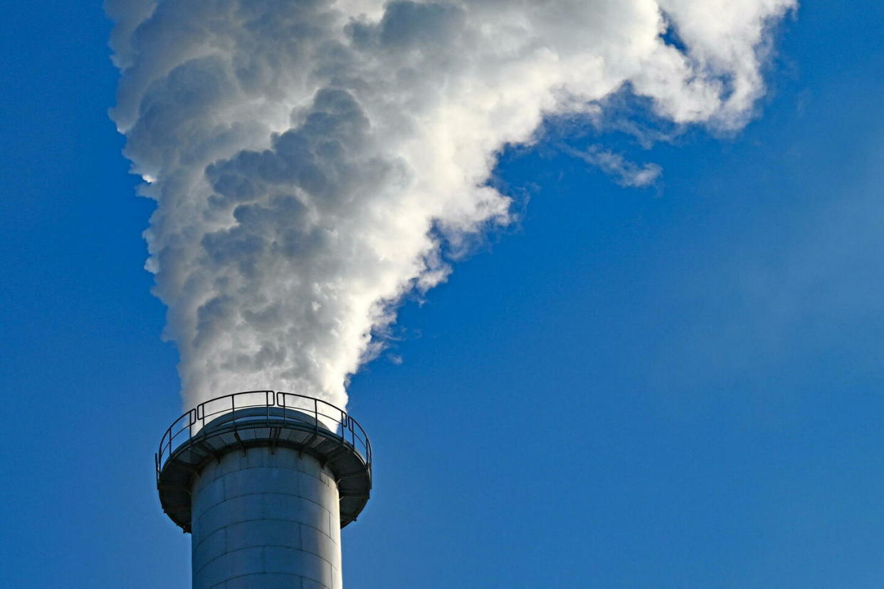 Les Européens se sont mis d'accord pour porter d'une seule voix la question du brûlage sans stockage ou captage du CO2.  - Credit:PATRICK PLEUL / DPA / dpa Picture-Alliance via AFP