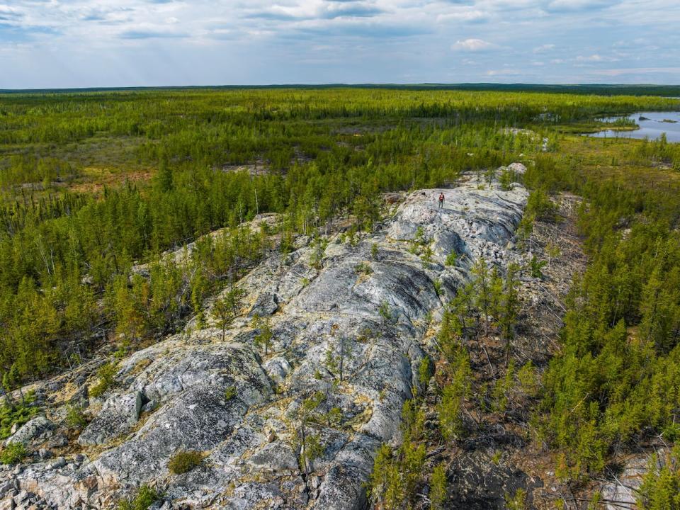 Li-FT's mineral resource estimate covers 8 of 13 spodumene-bearing pegmatite dykes like the one pictured above.