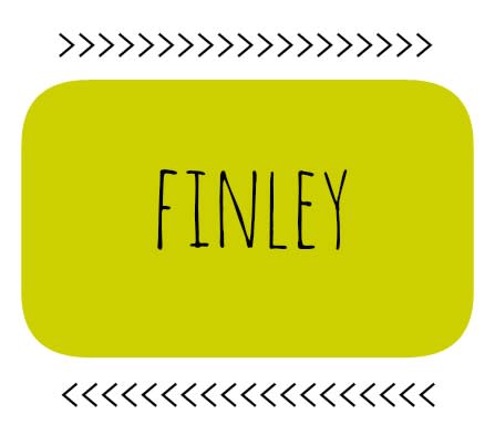 Finley