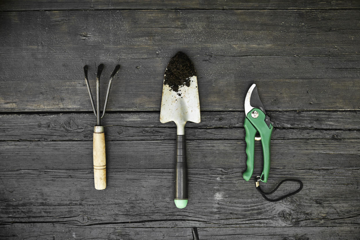 gardening tools, best gardening tools for spring, According to a gardening expert, these are must-have tools for your lawn care arsenal (Getty Images).