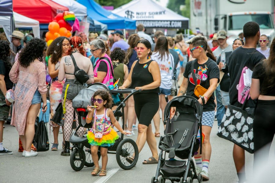 Grand Rapids Pride Festival on Saturday, June 22, 2024. (Michael Buck/WOOD TV8)