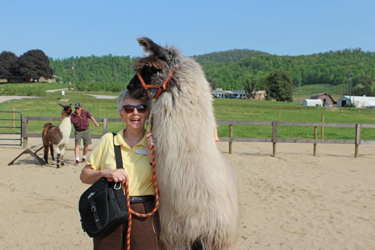 A visitor is all smiles recently at Ellaberry Llama Farm in Henderson County.