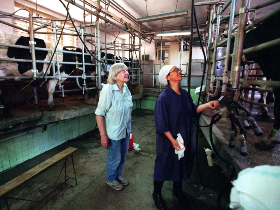 Joan Hinton stands next to a woman working on a dairy farm in Beijing, China.