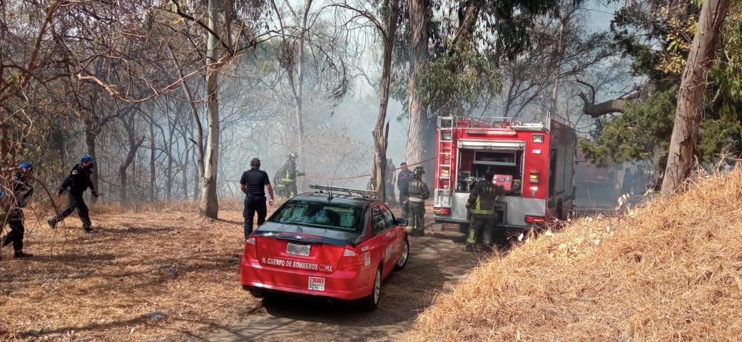 <p>Los bomberos trabajaron por más de tres horas para controlar las llamas</p> (©Twitter/@SEDEMA_CDMX)