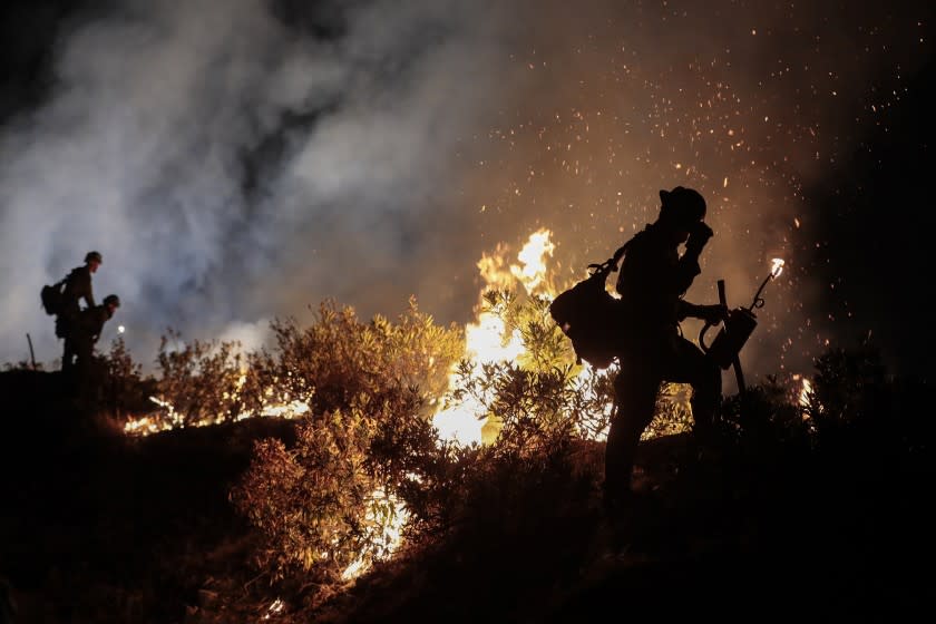 Angeles National Forest, CA, Tuesday, September 22, 2020 - Blue Ridge Hot Shots crew members from Arizona join forces with California firefighters from Northern and Southern California on a backfire operation North of Mt. Wilson on Angeles Crest Highway. Firefighters continue to battle the Bobcat Fire as it continues to burn. (Robert Gauthier/ Los Angeles Times)