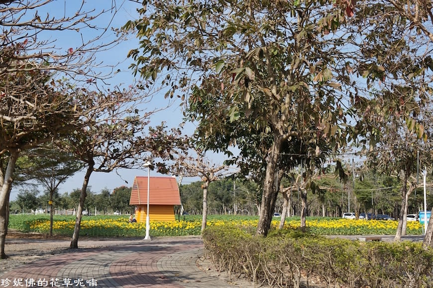 屏東新埤鄉綜合休閒公園｜向日葵花海