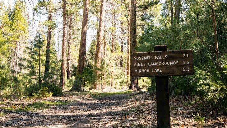 <span class="article__caption">A trail sign for hikers in Yosemite National Park</span> (Photo: Ray Wise/Getty)