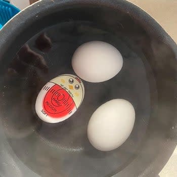 the egg timer changing color to white as time passes