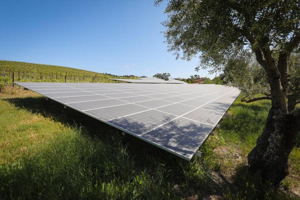 Tablas Creek Vineyard has installed enough solar panels to generate over 100% of its electric needs.
