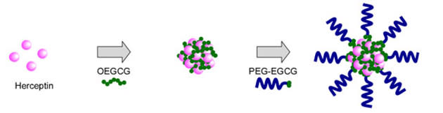 A*STAR's green tea-based drug delivery system