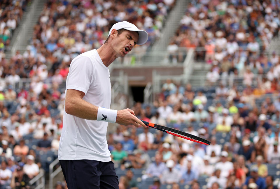 梅利（Andy Murray）