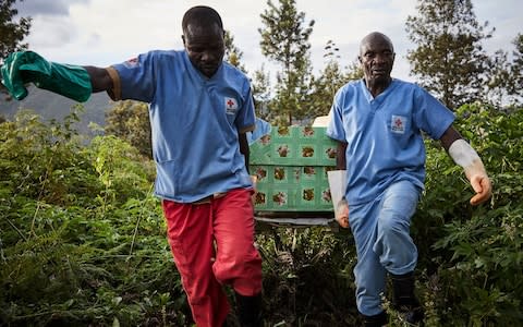 Health workers carry the coffin of an Ebola victim in Butembo, the town at the epicentre of the crisis - Credit: HUGH KINSELLA CUNNINGHAM/EPA-EFE/REX