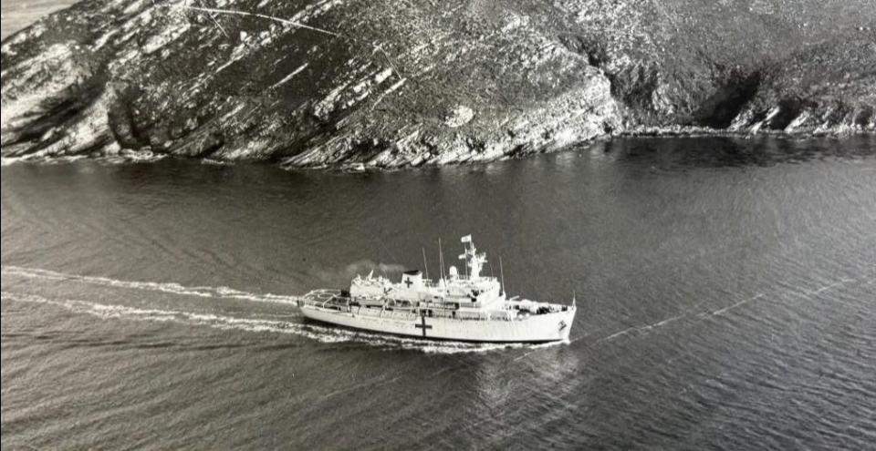 Hydra in the Falklands