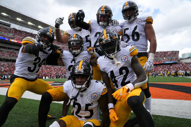 Pittsburgh Steelers vs. Cincinnati Bengals