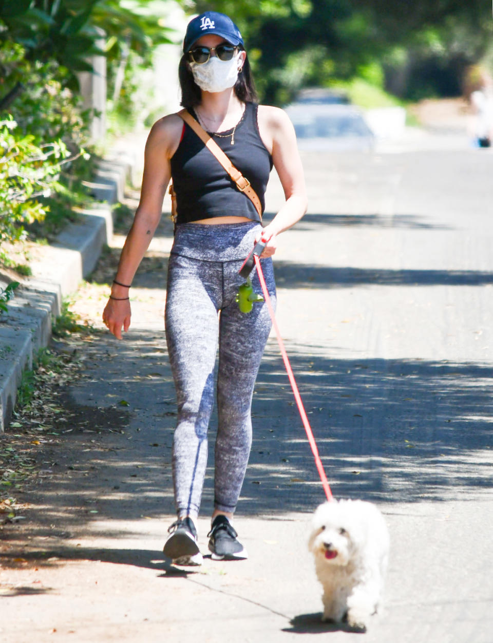 <p>Lucy Hale and her dog pop out for a stroll around her neighborhood on Monday in Los Angeles.</p>