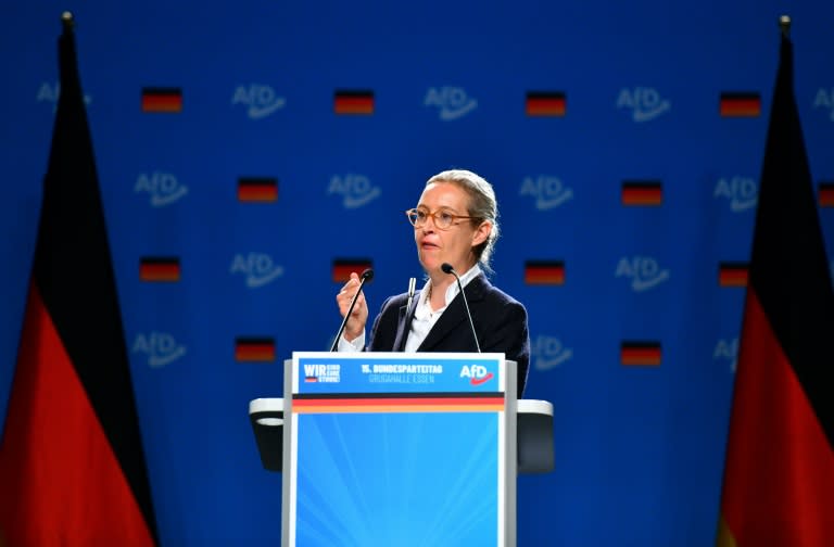 'We are here and we will stay', AfD co-leader of Alice Weidel said (Volker Hartmann)