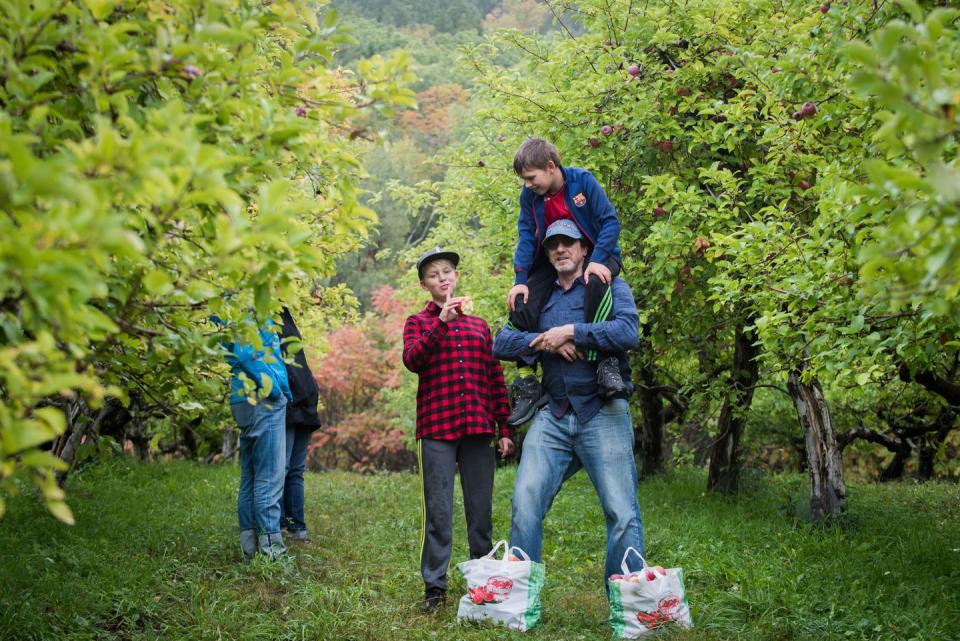 19) Scott Farm Orchard in Dummerston, Vermont