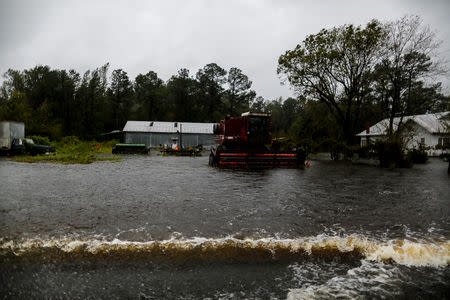 Water flows along open field in a local farm after Hurricane Florence swept the town of Wallace, North Carolina, U.S., September 15, 2018. REUTERS/Eduardo Munoz