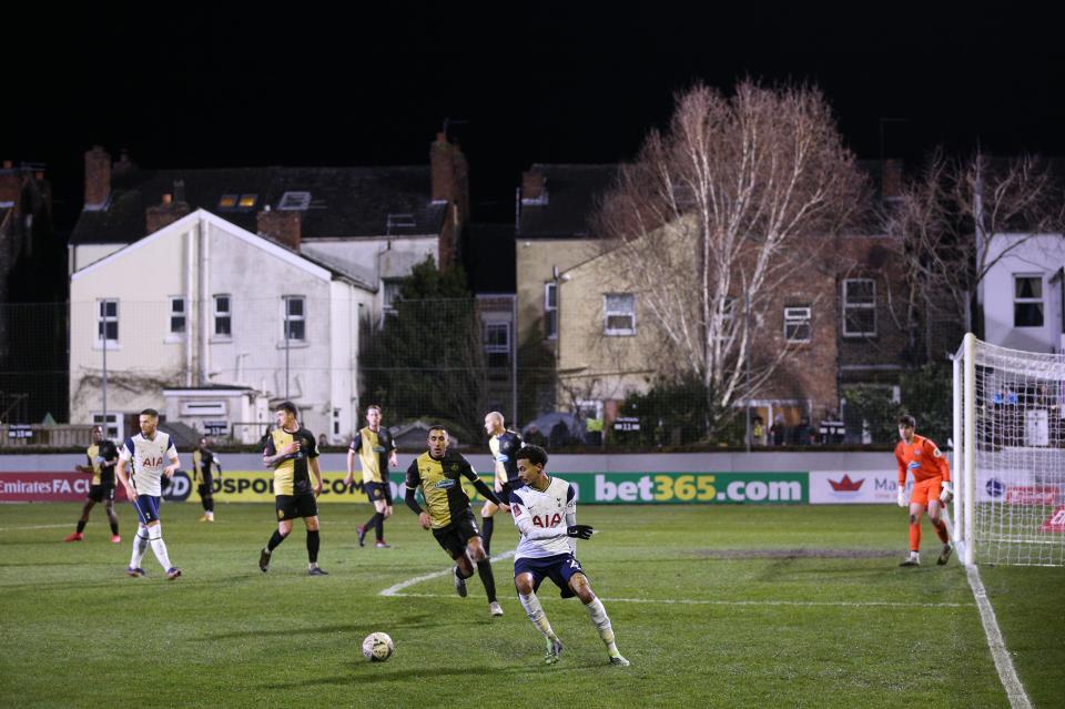 Tottenham Hotspur FC via Getty Images