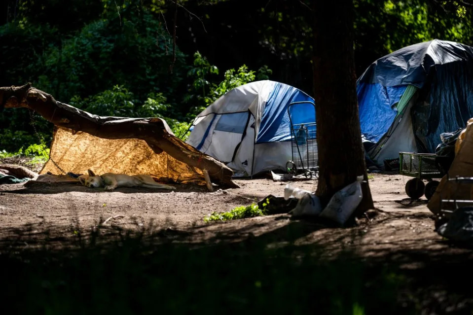 Homeless encampments are setup along the American River Parkway Trail in Sacramento, California Wednesday March 30, 2022. The Washington Post via Getty Images