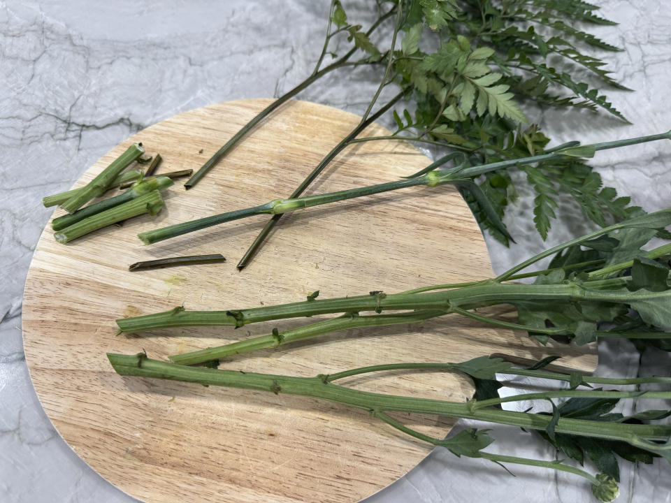 This May 2, 2024 image shows flowers with their stems trimmed on an angle. The practice maximizes the stem's surface area, allowing flowers to take up more water and preventing blockages that can result when stems lay flat against container bottoms. (AP Photo/Sallee Ann Harrison)