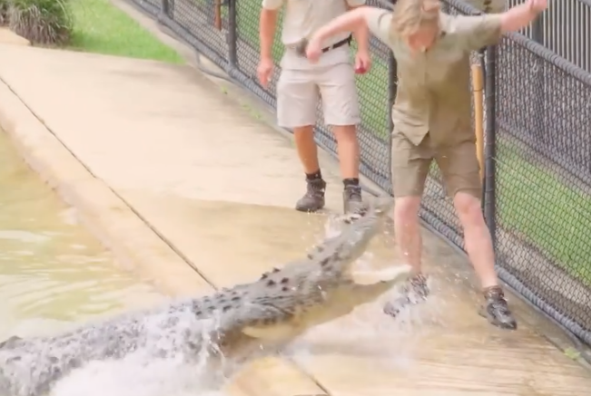 Robert Irwin and a crocodile at Australia Zoo