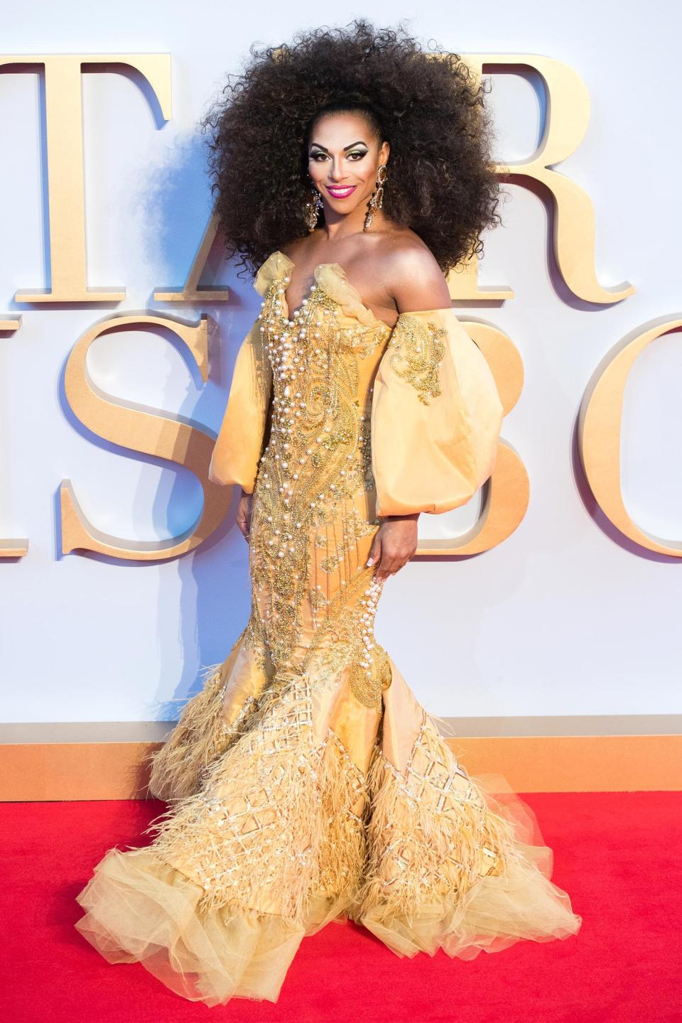 If you guessed <strong>Shangela</strong> — HALLELOO! You guessed right. This queen has proven that slow and steady wins the race. Although she never made it through to the crown, she can now say she's acted alongside Oscar winner Lady Gaga in <em>A Star Is Born</em>.