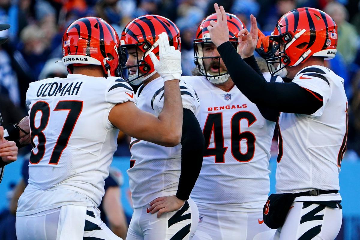 Bengals' highest-graded players at PFF over two playoff wins