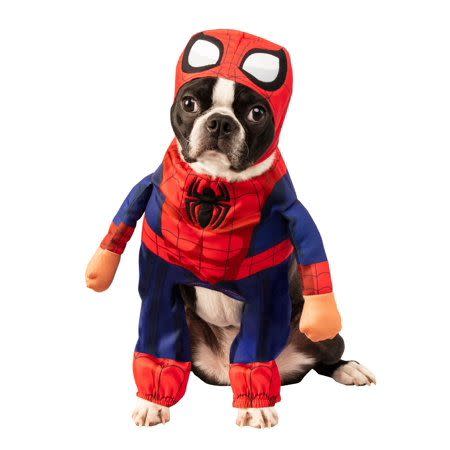 The Spider-Man Pet Costume