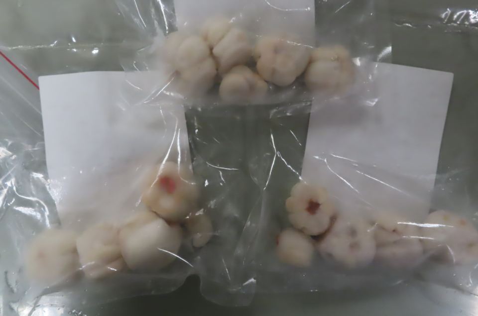 泰國出口「冷凍山竹鮮果肉Frozen Mangosteen Pulp 1200g」檢出重金屬含量不符規定。（食藥署提供）