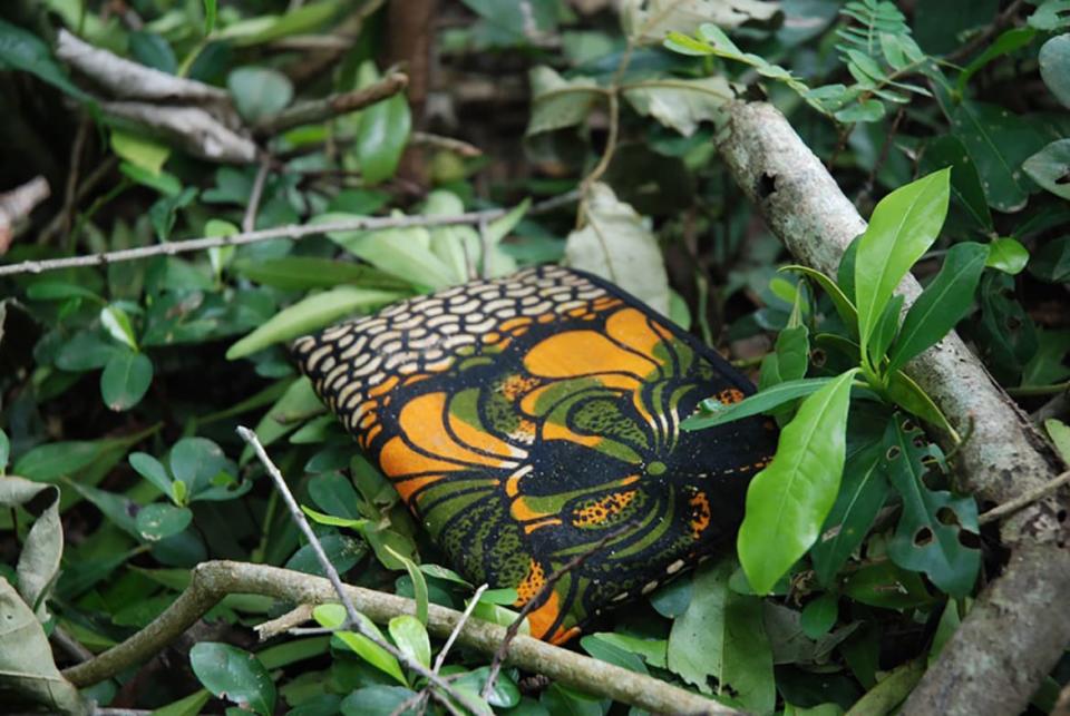 A small purse in a field