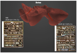 Bolsa drill core from holes #186 and #191, which intersected 263 feet at 1.11% copper and 404 feet at 1.50% copper, respectively.