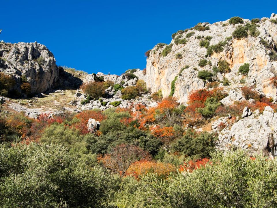 Sierras Subbéticas National Park in Andalusia is a great spot for springtime hiking (Getty Images/iStockphoto)