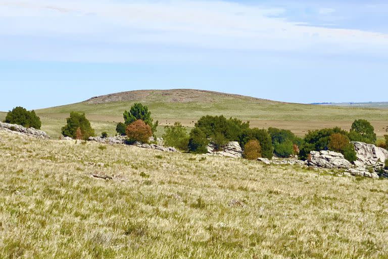 Una imagen de los alrededores de la estancia La Montaña, en Pigüé