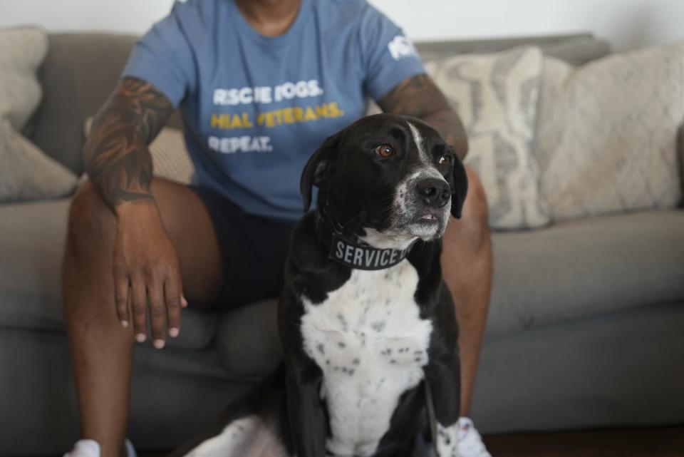 Doc, a pointer-black lab mix, poses for a photo in his home in Kearny, N.J., on Monday, June 3, 2024. (AP Photo/Mary Conlon)