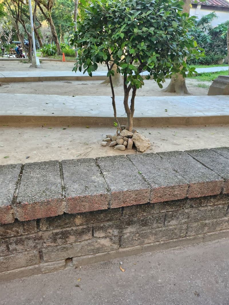 解翁跟陳翁在溪北公園內對弈象棋。（圖／翻攝畫面）