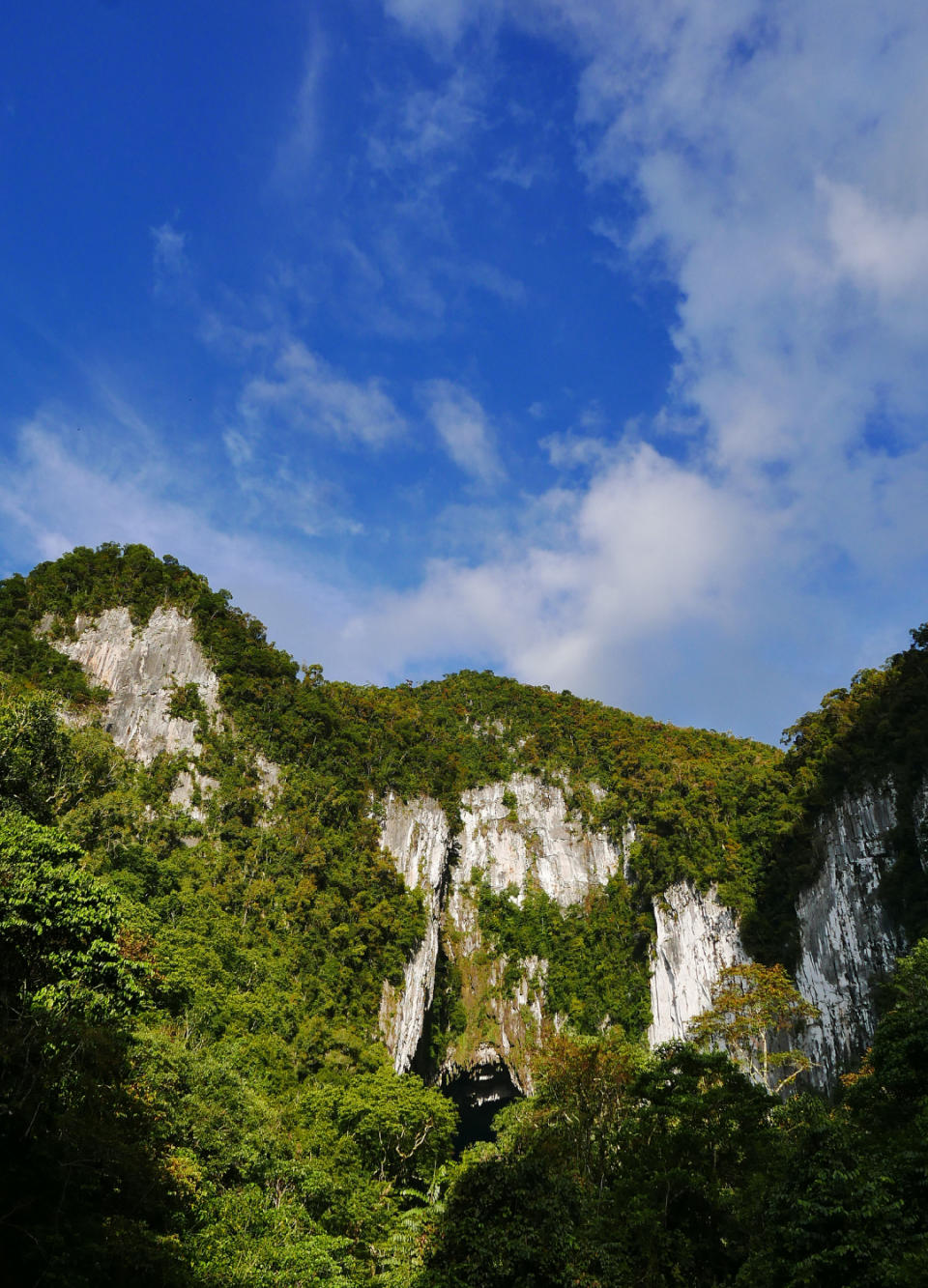 Gunung Mulu National Park, Malaysia