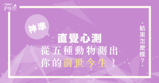 你下輩子想當哪種動物？超神準日網心測，一秒看出你的「前世今生」是哪種人！