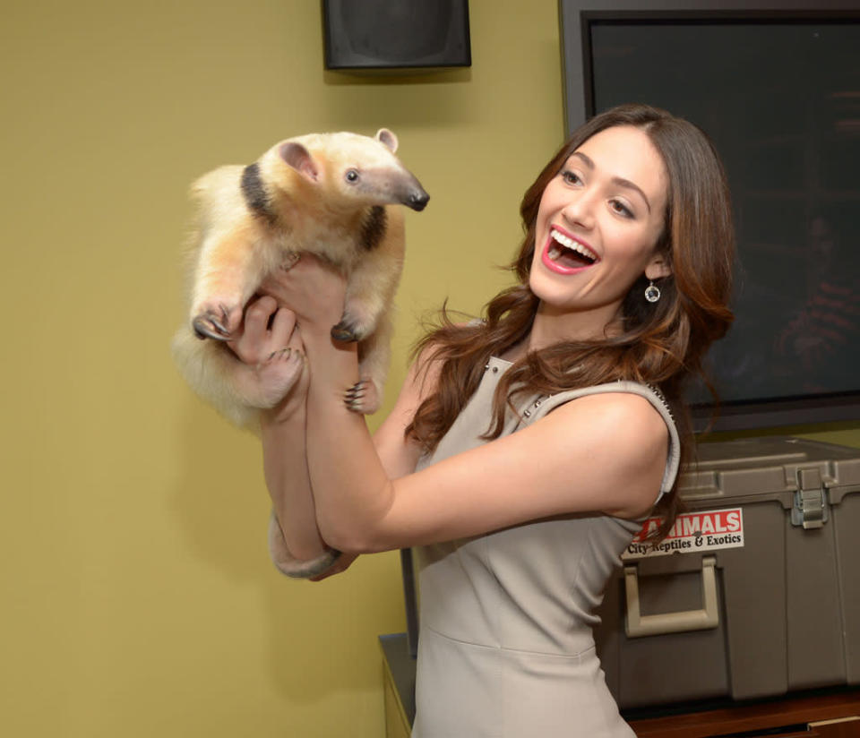 Emmy Rossum, Regina King, Harlem Globetrotters and Animals on VH1 Big Morning Buzz Live with Carrie Keagan