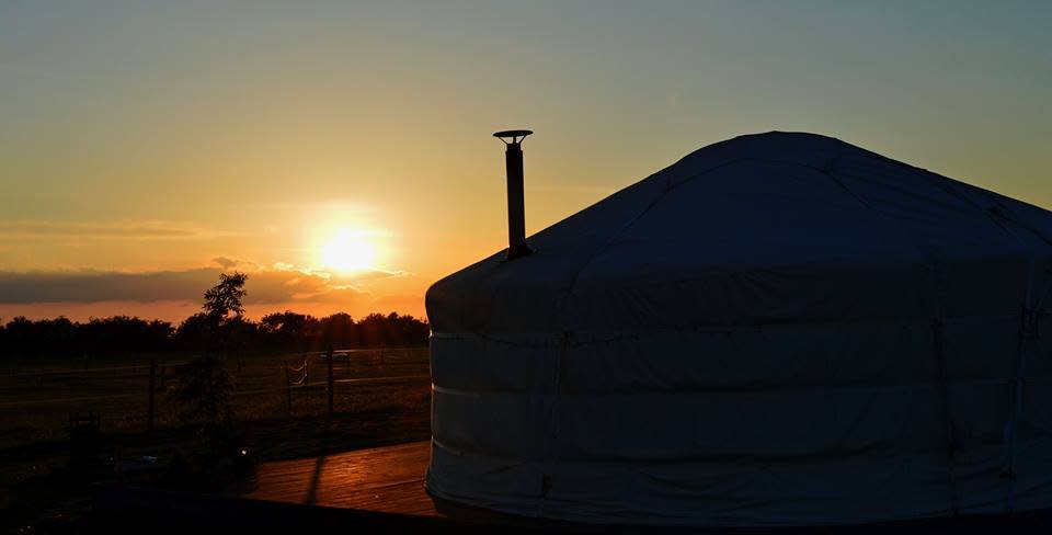 In A Mongolian Yurt