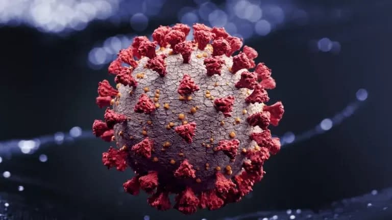 Un atisbo de esperanza para el fin del coronavirus como pandemia llegar&#xed;a en 2022, seg&#xfa;n la OMS